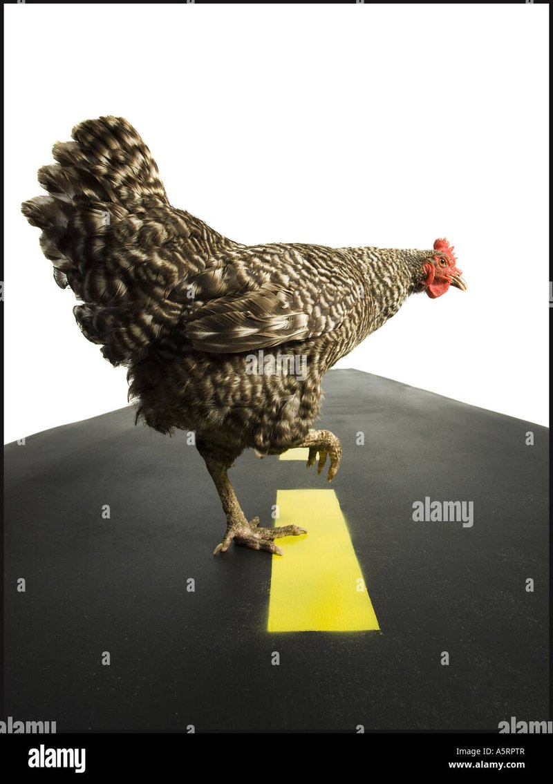Image: Speel met de Chicken Road Gokspel Casino Online in Nederland